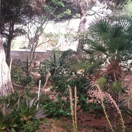 Il Giardino Su Lido Burrone Favignana